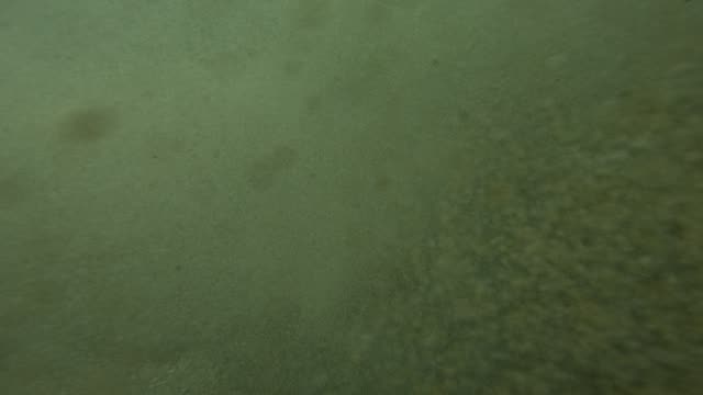 Raw surf clip, 0:24