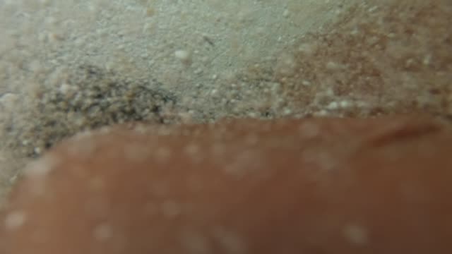Raw surf clip, 0:04