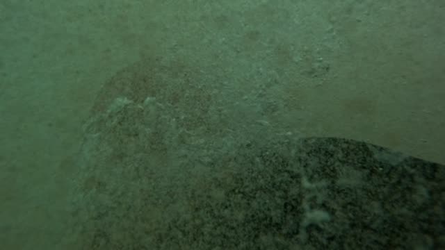 Raw surf clip, 0:03
