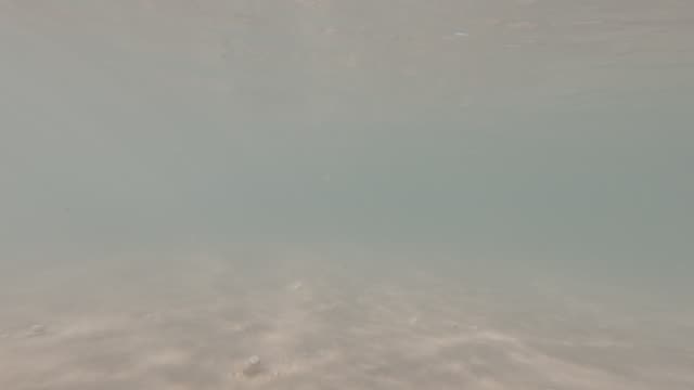 Raw surf clip, 0:08