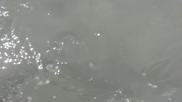 Raw surf clip, 0:07