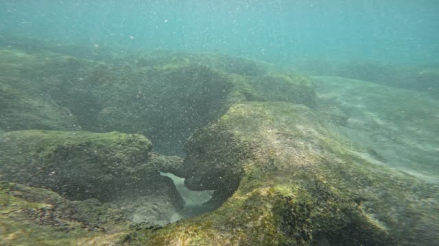 Raw surf clip, 1:00