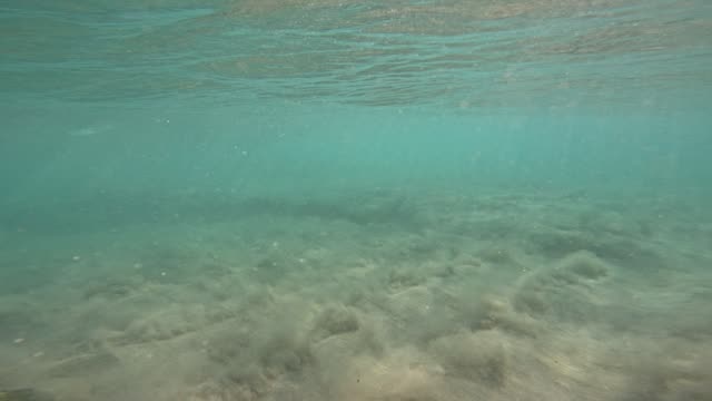 Raw surf clip, 0:30