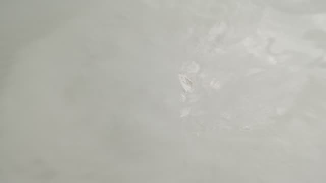 Raw surf clip, 0:11