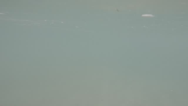 Raw surf clip, 0:09