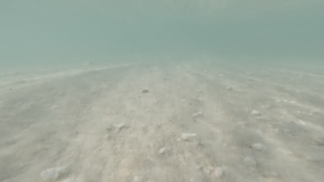 Raw surf clip, 0:06
