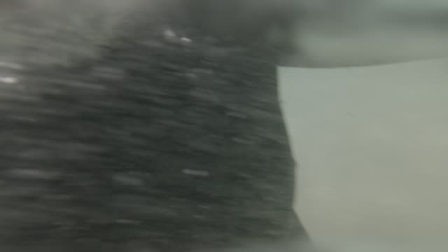 Raw surf clip, 0:08