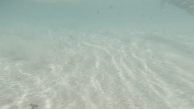 Raw surf clip, 0:13