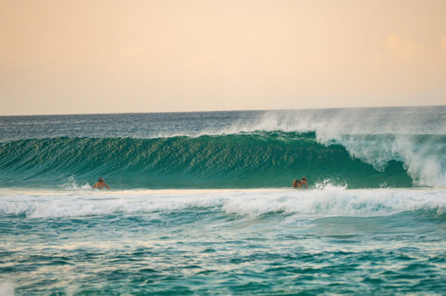 North Beach 01.14 surf photo