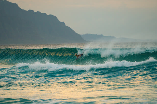 North Beach 01.14 surf photo