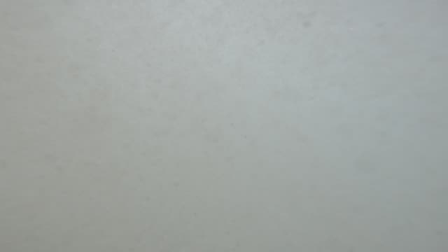 Raw surf clip, 0:04