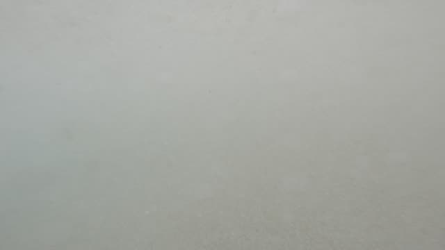 Raw surf clip, 0:16