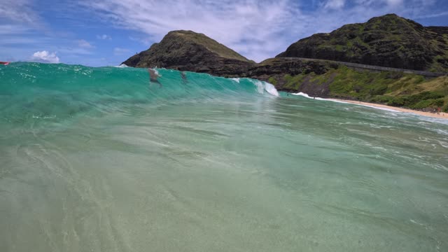 Raw surf clip, 0:08