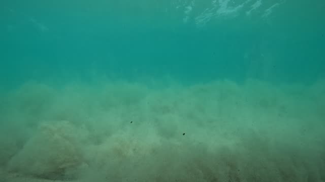 Raw surf clip, 0:25