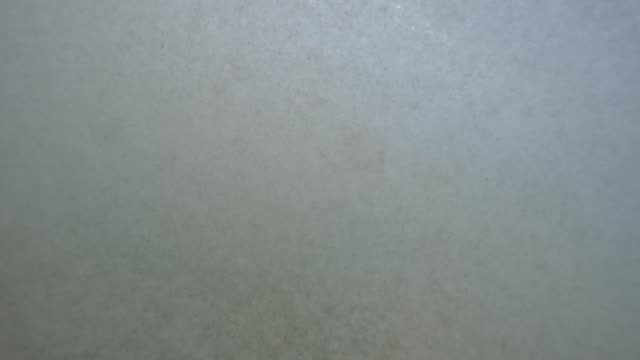 Raw surf clip, 0:09