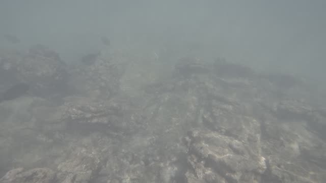 Raw surf clip, 0:11