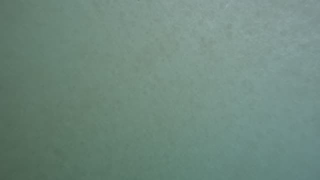 Raw surf clip, 0:08