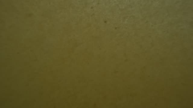 Raw surf clip, 0:04
