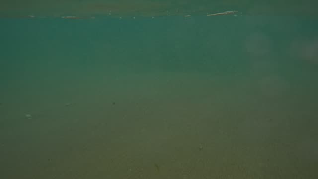 Raw surf clip, 0:09