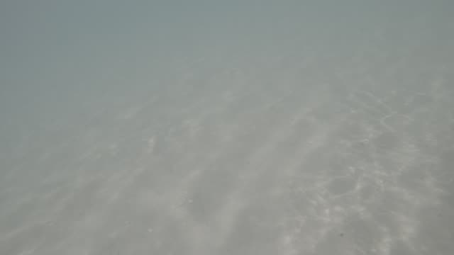 Raw surf clip, 0:11
