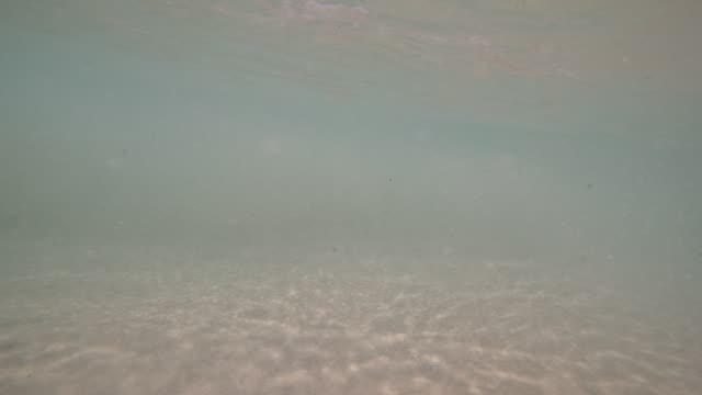 Raw surf clip, 0:17