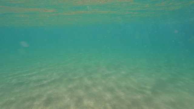 Raw surf clip, 0:11