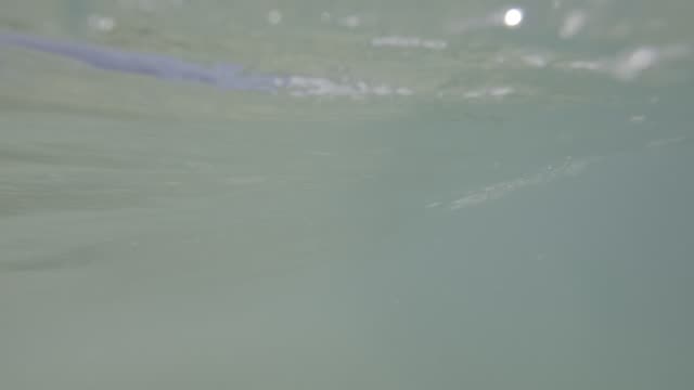 Raw surf clip, 0:03